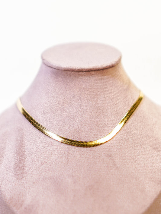 Aura Choker Necklace